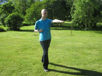Zen Taijiquan Kung-Fu!